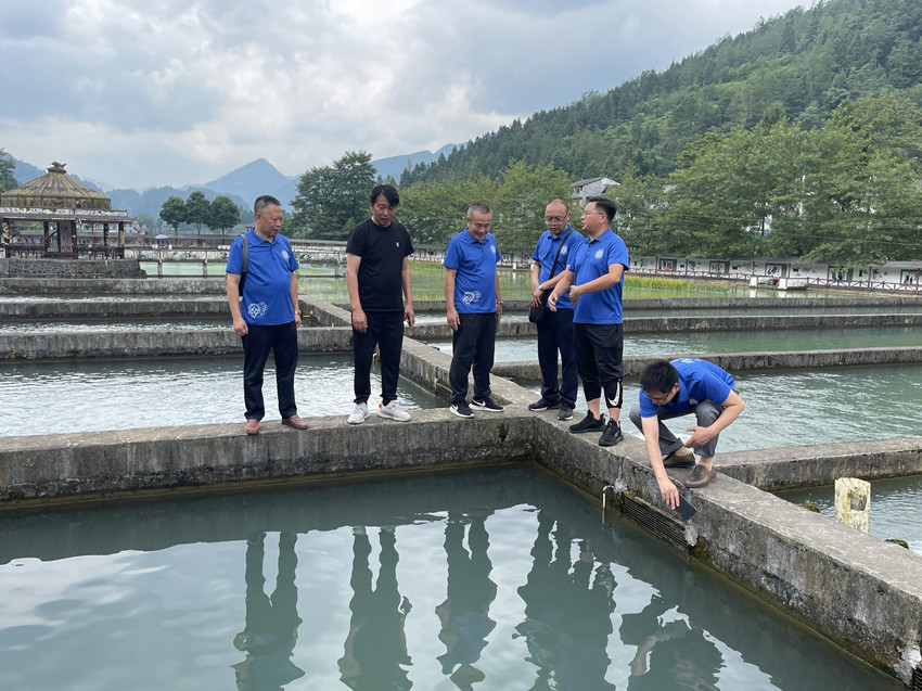 碧水清泉公司 .jpg